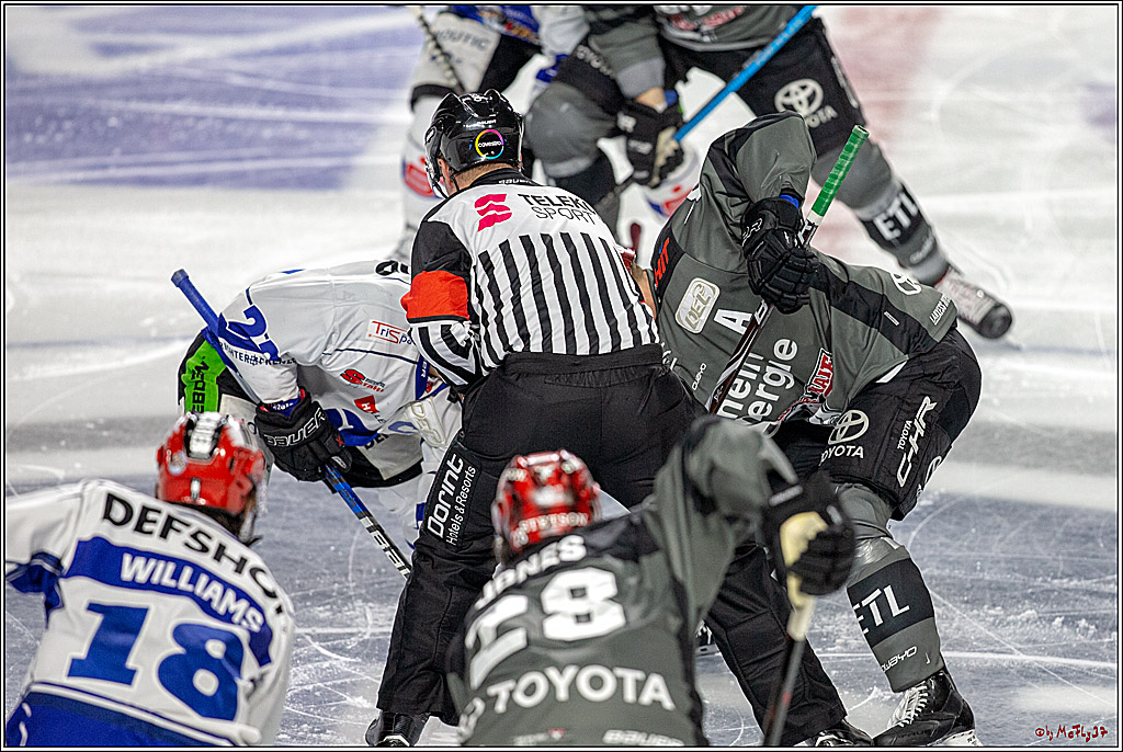 DEL; Koelner Haie - Straubing Tigers, 02.12.2018